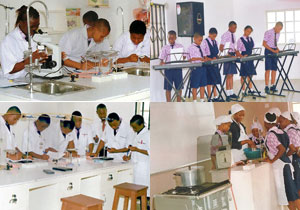 Topline Schools Science Laboratory